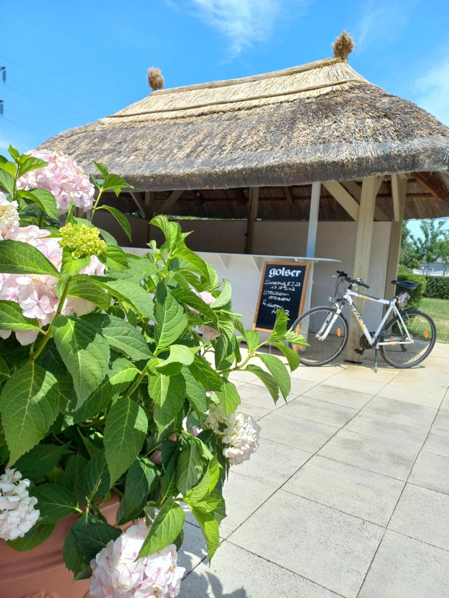 Storchencamp Gaestehaus Purbach Purbach am Neusiedlersee Exterior foto