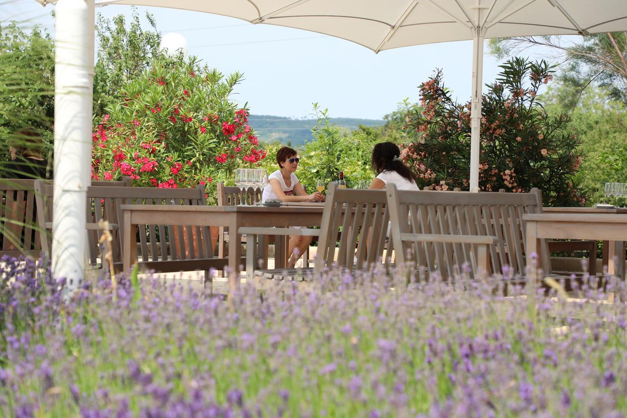 Storchencamp Gaestehaus Purbach Purbach am Neusiedlersee Exterior foto